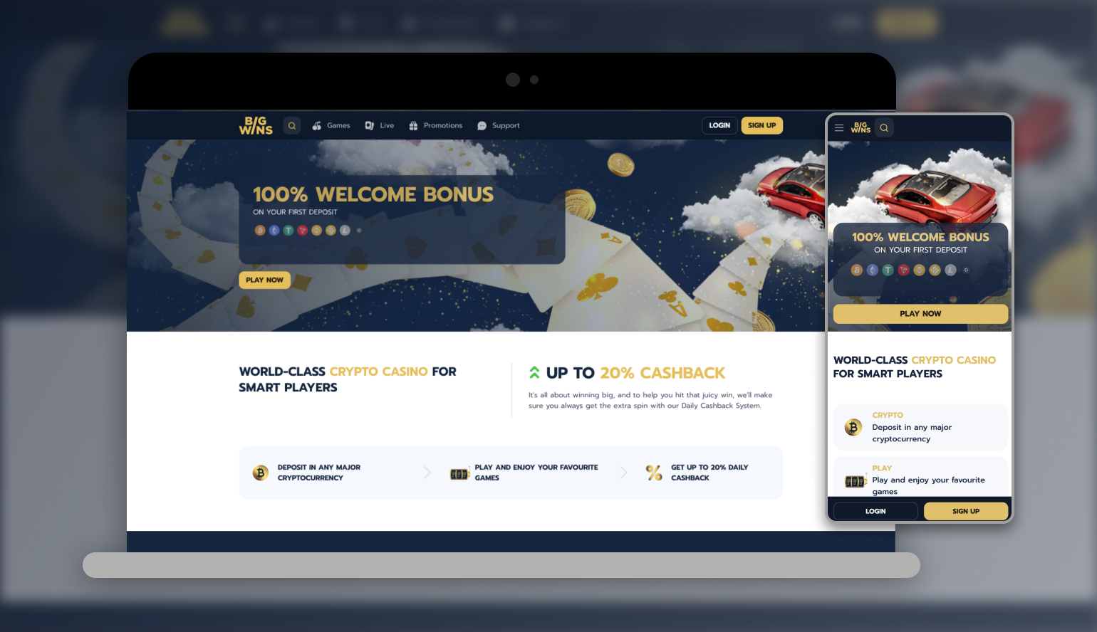 Bigwins Casino Review: Full Review in 2025